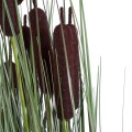 GloboStar® Artificial Garden TYPHA ANGUSTIFOLIA GRASS 20069 Τεχνητό Διακοσμητικό Φυτό Γρασίδι της Τύφας Υ90cm GloboStar® Artificial Garden TYPHA ANGUSTIFOLIA GRASS 20069 Τεχνητό Διακοσμητικό Φυτό Γρασίδι της Τύφας Υ90cm