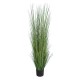 GloboStar® Artificial Garden PAMPAS GRASS 20071 Τεχνητό Διακοσμητικό Φυτό Γρασίδι της Πάμπας Υ150cm GloboStar® Artificial Garden PAMPAS GRASS 20071 Τεχνητό Διακοσμητικό Φυτό Γρασίδι της Πάμπας Υ150cm
