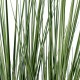 GloboStar® Artificial Garden PAMPAS GRASS 20071 Τεχνητό Διακοσμητικό Φυτό Γρασίδι της Πάμπας Υ150cm GloboStar® Artificial Garden PAMPAS GRASS 20071 Τεχνητό Διακοσμητικό Φυτό Γρασίδι της Πάμπας Υ150cm