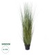 GloboStar® Artificial Garden PAMPAS GRASS 20072 Τεχνητό Διακοσμητικό Φυτό Γρασίδι της Πάμπας Υ170cm GloboStar® Artificial Garden PAMPAS GRASS 20072 Τεχνητό Διακοσμητικό Φυτό Γρασίδι της Πάμπας Υ170cm