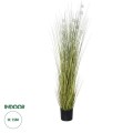 GloboStar® Artificial Garden ERIOPHORUM ANGUSTIFOLIUM COTTON GRASS 20073 Τεχνητό Διακοσμητικό Φυτό Γρασίδι του Βαμβακιού Υ150cm GloboStar® Artificial Garden ERIOPHORUM ANGUSTIFOLIUM COTTON GRASS 20073 Τεχνητό Διακοσμητικό Φυτό Γρασίδι του Βαμβακιού Υ150cm