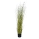 GloboStar® Artificial Garden ERIOPHORUM ANGUSTIFOLIUM COTTON GRASS 20073 Τεχνητό Διακοσμητικό Φυτό Γρασίδι του Βαμβακιού Υ150cm