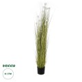 GloboStar® Artificial Garden ERIOPHORUM ANGUSTIFOLIUM COTTON GRASS 20074 Τεχνητό Διακοσμητικό Φυτό Γρασίδι του Βαμβακιού Υ170cm GloboStar® Artificial Garden ERIOPHORUM ANGUSTIFOLIUM COTTON GRASS 20074 Τεχνητό Διακοσμητικό Φυτό Γρασίδι του Βαμβακιού Υ170cm