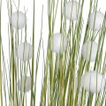 GloboStar® Artificial Garden ERIOPHORUM ANGUSTIFOLIUM COTTON GRASS 20074 Τεχνητό Διακοσμητικό Φυτό Γρασίδι του Βαμβακιού Υ170cm GloboStar® Artificial Garden ERIOPHORUM ANGUSTIFOLIUM COTTON GRASS 20074 Τεχνητό Διακοσμητικό Φυτό Γρασίδι του Βαμβακιού Υ170cm