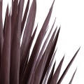 GloboStar® Artificial Garden SISAL AGAVE 20075 Τεχνητό Διακοσμητικό Φυτό Αγαύη Υ70cm GloboStar® Artificial Garden SISAL AGAVE 20075 Τεχνητό Διακοσμητικό Φυτό Αγαύη Υ70cm