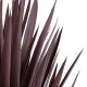 GloboStar® Artificial Garden SISAL AGAVE 20075 Τεχνητό Διακοσμητικό Φυτό Αγαύη Υ70cm GloboStar® Artificial Garden SISAL AGAVE 20075 Τεχνητό Διακοσμητικό Φυτό Αγαύη Υ70cm