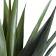 GloboStar® Artificial Garden SISAL AGAVE 20078 Τεχνητό Διακοσμητικό Φυτό Αγαύη Υ110cm GloboStar® Artificial Garden SISAL AGAVE 20078 Τεχνητό Διακοσμητικό Φυτό Αγαύη Υ110cm