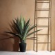 GloboStar® Artificial Garden SISAL AGAVE 20078 Τεχνητό Διακοσμητικό Φυτό Αγαύη Υ110cm GloboStar® Artificial Garden SISAL AGAVE 20078 Τεχνητό Διακοσμητικό Φυτό Αγαύη Υ110cm