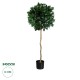 GloboStar® Artificial Garden LAUREL 20084 Τεχνητό Διακοσμητικό Φυτό Δάφνη Υ120cm GloboStar® Artificial Garden LAUREL 20084 Τεχνητό Διακοσμητικό Φυτό Δάφνη Υ120cm