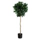 GloboStar® Artificial Garden LAUREL 20084 Τεχνητό Διακοσμητικό Φυτό Δάφνη Υ120cm GloboStar® Artificial Garden LAUREL 20084 Τεχνητό Διακοσμητικό Φυτό Δάφνη Υ120cm