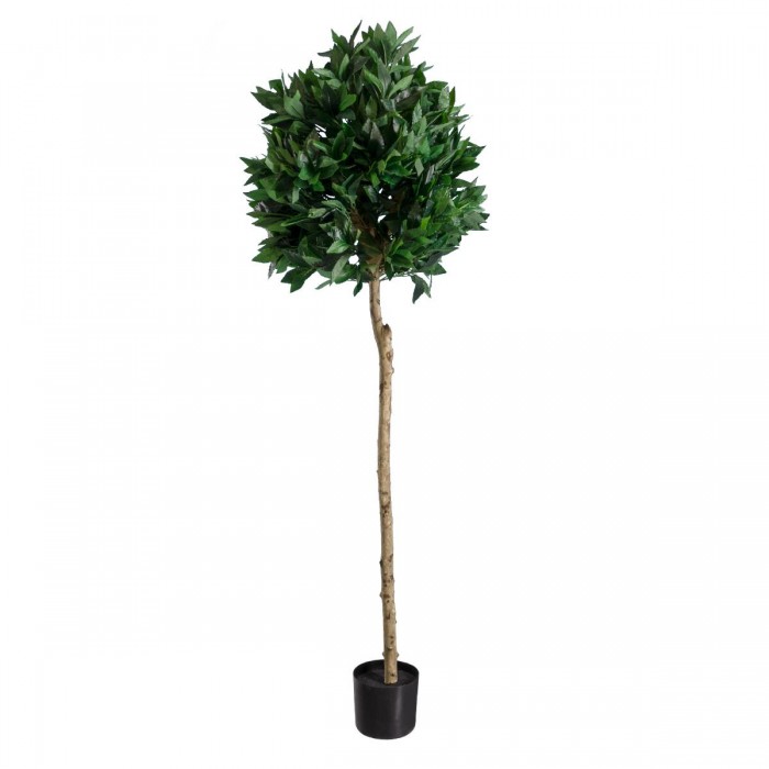 GloboStar® Artificial Garden LAUREL 20085 Τεχνητό Διακοσμητικό Φυτό Δάφνη Υ150cm GloboStar® Artificial Garden LAUREL 20085 Τεχνητό Διακοσμητικό Φυτό Δάφνη Υ150cm