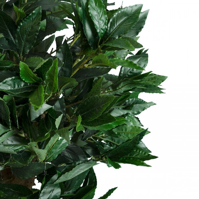 GloboStar® Artificial Garden LAUREL 20085 Τεχνητό Διακοσμητικό Φυτό Δάφνη Υ150cm GloboStar® Artificial Garden LAUREL 20085 Τεχνητό Διακοσμητικό Φυτό Δάφνη Υ150cm