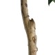 GloboStar® Artificial Garden LAUREL 20085 Τεχνητό Διακοσμητικό Φυτό Δάφνη Υ150cm GloboStar® Artificial Garden LAUREL 20085 Τεχνητό Διακοσμητικό Φυτό Δάφνη Υ150cm