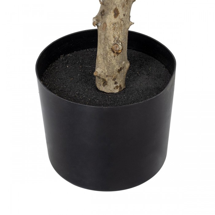 GloboStar® Artificial Garden LAUREL 20085 Τεχνητό Διακοσμητικό Φυτό Δάφνη Υ150cm GloboStar® Artificial Garden LAUREL 20085 Τεχνητό Διακοσμητικό Φυτό Δάφνη Υ150cm