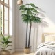 GloboStar® Artificial Garden PALM TREE 20086 Τεχνητό Διακοσμητικό Φυτό Φοινικόδεντρο Βεντάλια Υ300cm GloboStar® Artificial Garden PALM TREE 20086 Τεχνητό Διακοσμητικό Φυτό Φοινικόδεντρο Βεντάλια Υ300cm