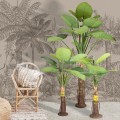 GloboStar® Artificial Garden TARO SET 20089 Τεχνητό Διακοσμητικό Σετ Φυτών Κολοκασία A:Υ300cm B:Υ210cm C:Υ160cm GloboStar® Artificial Garden TARO SET 20089 Τεχνητό Διακοσμητικό Σετ Φυτών Κολοκασία A:Υ300cm B:Υ210cm C:Υ160cm