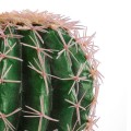 GloboStar® Artificial Garden FEROCACTUS 20092 Τεχνητό Διακοσμητικό Φυτό Φερόκακτος Υ26cm
