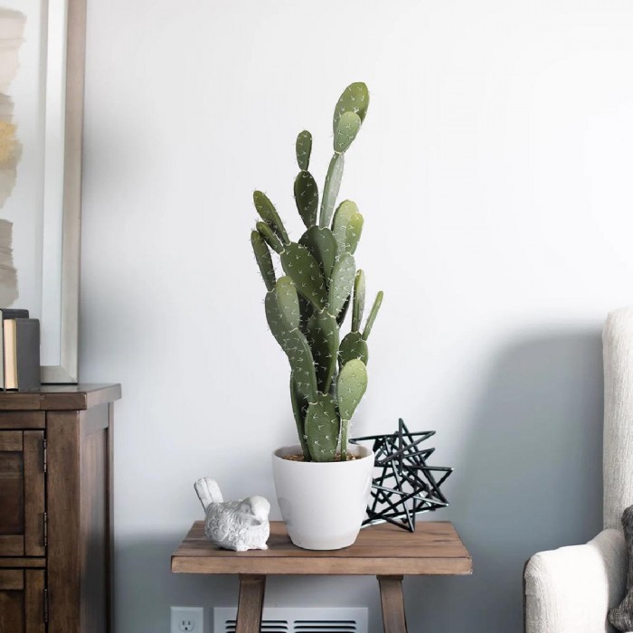 GloboStar® Artificial Garden OPUNTIA FICUS-INDICA CACTUS 20097 Τεχνητό Διακοσμητικό Φυτό Κάκτος Φραγκοσυκιά Υ72cm GloboStar® Artificial Garden OPUNTIA FICUS-INDICA CACTUS 20097 Τεχνητό Διακοσμητικό Φυτό Κάκτος Φραγκοσυκιά Υ72cm