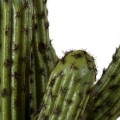 GloboStar® Artificial Garden CARNEGIEA CACTUS 20100 Τεχνητό Διακοσμητικό Φυτό Κάκτος Σαγκουάρο Υ63cm