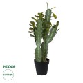 GloboStar® Artificial Garden CEREUS JAMACARU CACTUS 20102 Τεχνητό Διακοσμητικό Φυτό Κάκτος Κηρίος Υ62cm GloboStar® Artificial Garden CEREUS JAMACARU CACTUS 20102 Τεχνητό Διακοσμητικό Φυτό Κάκτος Κηρίος Υ62cm