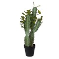 GloboStar® Artificial Garden CEREUS JAMACARU CACTUS 20102 Τεχνητό Διακοσμητικό Φυτό Κάκτος Κηρίος Υ62cm GloboStar® Artificial Garden CEREUS JAMACARU CACTUS 20102 Τεχνητό Διακοσμητικό Φυτό Κάκτος Κηρίος Υ62cm