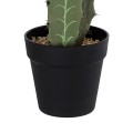 GloboStar® Artificial Garden CEREUS JAMACARU CACTUS 20102 Τεχνητό Διακοσμητικό Φυτό Κάκτος Κηρίος Υ62cm GloboStar® Artificial Garden CEREUS JAMACARU CACTUS 20102 Τεχνητό Διακοσμητικό Φυτό Κάκτος Κηρίος Υ62cm