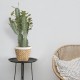 GloboStar® Artificial Garden CEREUS JAMACARU CACTUS 20102 Τεχνητό Διακοσμητικό Φυτό Κάκτος Κηρίος Υ62cm