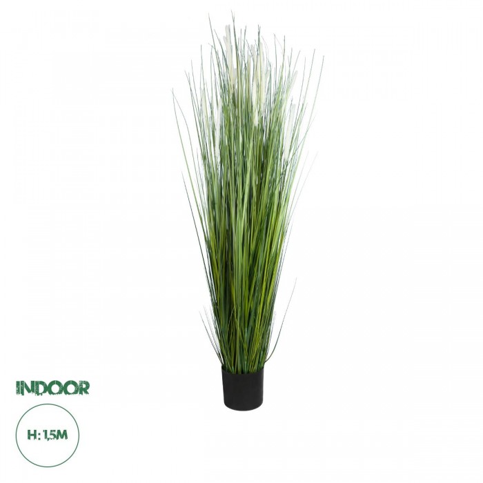 GloboStar® Artificial Garden SACCHARUM 20104 Τεχνητό Διακοσμητικό Φυτό Ζαχαροκάλαμο Υ150cm GloboStar® Artificial Garden SACCHARUM 20104 Τεχνητό Διακοσμητικό Φυτό Ζαχαροκάλαμο Υ150cm