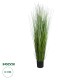 GloboStar® Artificial Garden SACCHARUM 20104 Τεχνητό Διακοσμητικό Φυτό Ζαχαροκάλαμο Υ150cm GloboStar® Artificial Garden SACCHARUM 20104 Τεχνητό Διακοσμητικό Φυτό Ζαχαροκάλαμο Υ150cm