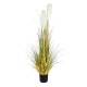 GloboStar® Artificial Garden PAMPAS GRASS 20105 Τεχνητό Διακοσμητικό Φυτό Γρασίδι της Πάμπας Υ150cm GloboStar® Artificial Garden PAMPAS GRASS 20105 Τεχνητό Διακοσμητικό Φυτό Γρασίδι της Πάμπας Υ150cm