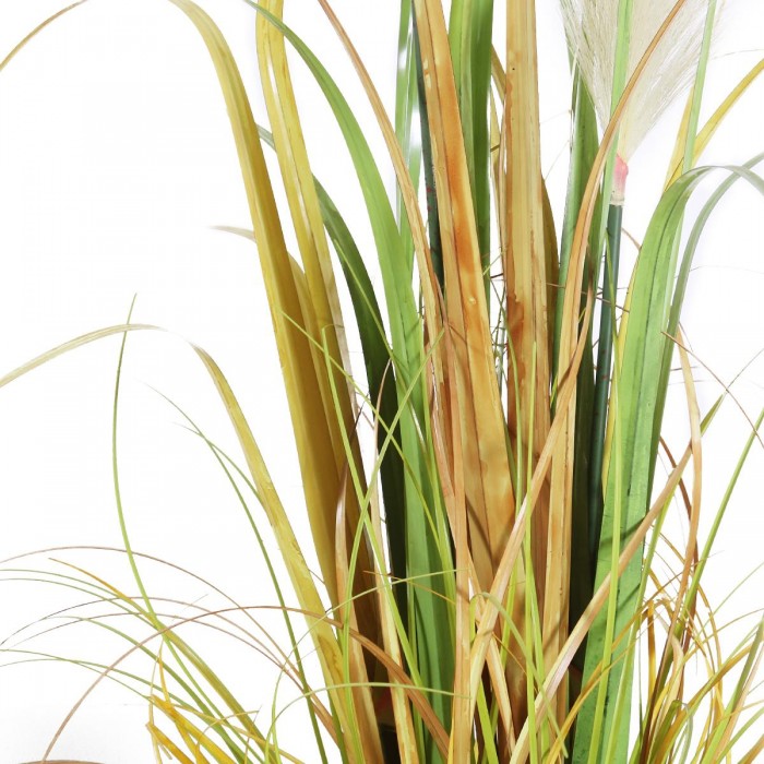 GloboStar® Artificial Garden PAMPAS GRASS 20105 Τεχνητό Διακοσμητικό Φυτό Γρασίδι της Πάμπας Υ150cm GloboStar® Artificial Garden PAMPAS GRASS 20105 Τεχνητό Διακοσμητικό Φυτό Γρασίδι της Πάμπας Υ150cm