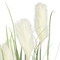 GloboStar® Artificial Garden PAMPAS GRASS 20106 Τεχνητό Διακοσμητικό Φυτό Γρασίδι της Πάμπας Υ150cm
