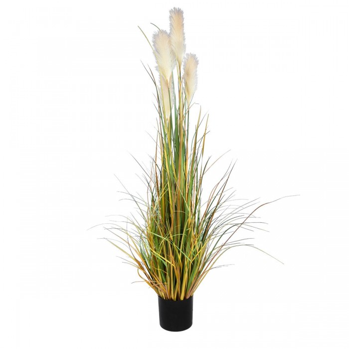 GloboStar® Artificial Garden PAMPAS GRASS 20108 Τεχνητό Διακοσμητικό Φυτό Γρασίδι της Πάμπας Υ150cm GloboStar® Artificial Garden PAMPAS GRASS 20108 Τεχνητό Διακοσμητικό Φυτό Γρασίδι της Πάμπας Υ150cm