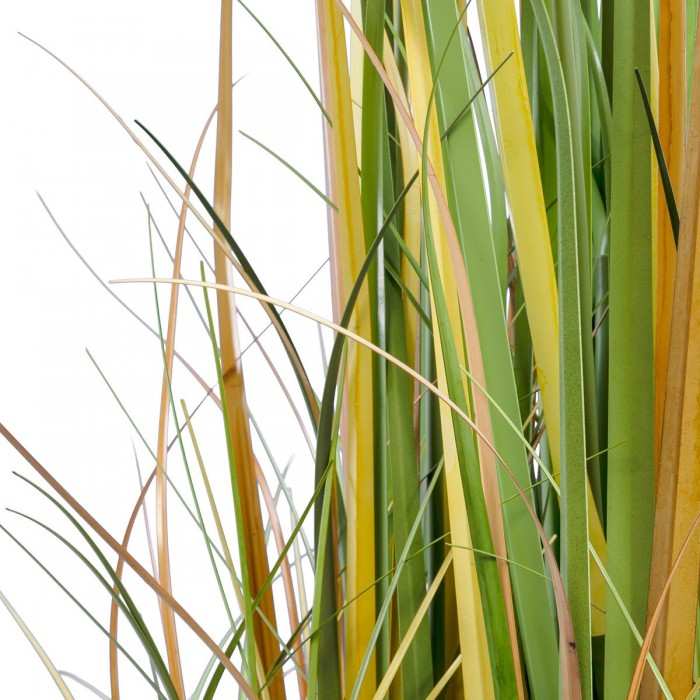 GloboStar® Artificial Garden PAMPAS GRASS 20108 Τεχνητό Διακοσμητικό Φυτό Γρασίδι της Πάμπας Υ150cm GloboStar® Artificial Garden PAMPAS GRASS 20108 Τεχνητό Διακοσμητικό Φυτό Γρασίδι της Πάμπας Υ150cm