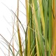 GloboStar® Artificial Garden PAMPAS GRASS 20108 Τεχνητό Διακοσμητικό Φυτό Γρασίδι της Πάμπας Υ150cm GloboStar® Artificial Garden PAMPAS GRASS 20108 Τεχνητό Διακοσμητικό Φυτό Γρασίδι της Πάμπας Υ150cm
