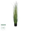 GloboStar® Artificial Garden LAGURUS GRASS 20111 Τεχνητό Διακοσμητικό Φυτό Λαγοουρά Υ150cm