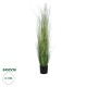 GloboStar® Artificial Garden LAGURUS GRASS 20111 Τεχνητό Διακοσμητικό Φυτό Λαγοουρά Υ150cm GloboStar® Artificial Garden LAGURUS GRASS 20111 Τεχνητό Διακοσμητικό Φυτό Λαγοουρά Υ150cm
