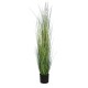 GloboStar® Artificial Garden LAGURUS GRASS 20111 Τεχνητό Διακοσμητικό Φυτό Λαγοουρά Υ150cm GloboStar® Artificial Garden LAGURUS GRASS 20111 Τεχνητό Διακοσμητικό Φυτό Λαγοουρά Υ150cm