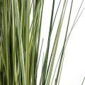 GloboStar® Artificial Garden LAGURUS GRASS 20111 Τεχνητό Διακοσμητικό Φυτό Λαγοουρά Υ150cm