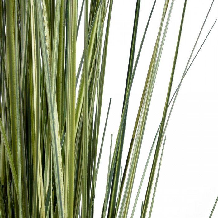 GloboStar® Artificial Garden LAGURUS GRASS 20111 Τεχνητό Διακοσμητικό Φυτό Λαγοουρά Υ150cm GloboStar® Artificial Garden LAGURUS GRASS 20111 Τεχνητό Διακοσμητικό Φυτό Λαγοουρά Υ150cm