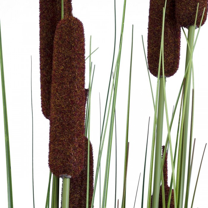 GloboStar® Artificial Garden TYPHA ANGUSTIFOLIA GRASS 20113 Τεχνητό Διακοσμητικό Φυτό Γρασίδι της Τύφας Υ150cm GloboStar® Artificial Garden TYPHA ANGUSTIFOLIA GRASS 20113 Τεχνητό Διακοσμητικό Φυτό Γρασίδι της Τύφας Υ150cm