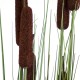 GloboStar® Artificial Garden TYPHA ANGUSTIFOLIA GRASS 20113 Τεχνητό Διακοσμητικό Φυτό Γρασίδι της Τύφας Υ150cm GloboStar® Artificial Garden TYPHA ANGUSTIFOLIA GRASS 20113 Τεχνητό Διακοσμητικό Φυτό Γρασίδι της Τύφας Υ150cm