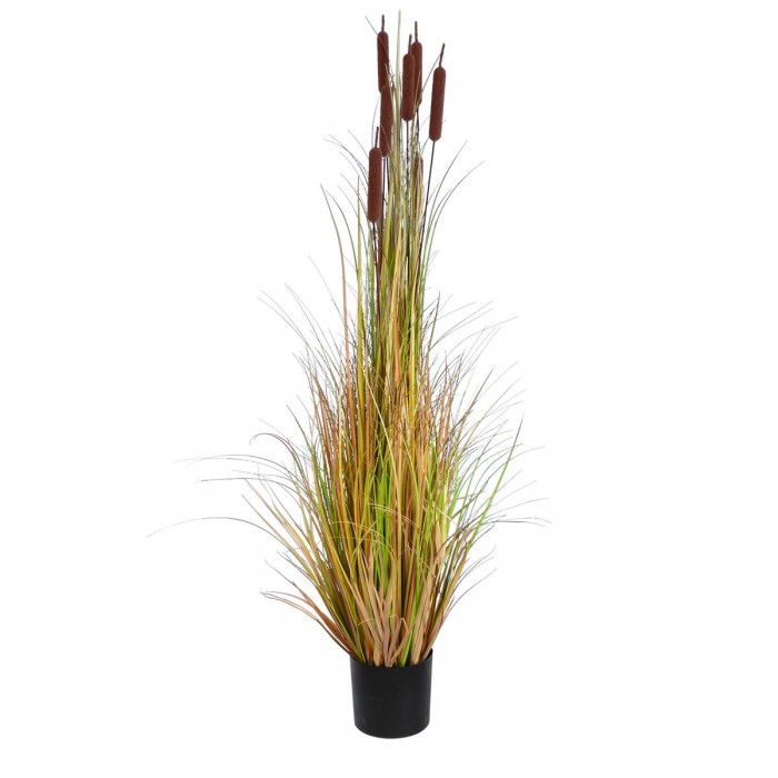 GloboStar® Artificial Garden TYPHA ANGUSTIFOLIA GRASS 20114 Τεχνητό Διακοσμητικό Φυτό Γρασίδι της Τύφας Υ150cm GloboStar® Artificial Garden TYPHA ANGUSTIFOLIA GRASS 20114 Τεχνητό Διακοσμητικό Φυτό Γρασίδι της Τύφας Υ150cm
