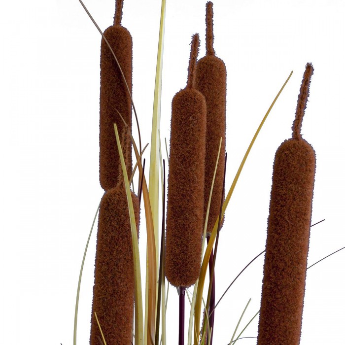 GloboStar® Artificial Garden TYPHA ANGUSTIFOLIA GRASS 20114 Τεχνητό Διακοσμητικό Φυτό Γρασίδι της Τύφας Υ150cm GloboStar® Artificial Garden TYPHA ANGUSTIFOLIA GRASS 20114 Τεχνητό Διακοσμητικό Φυτό Γρασίδι της Τύφας Υ150cm