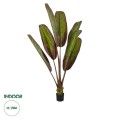 GloboStar® Artificial Garden BLOODY BANANA TREE 20118 Τεχνητό Διακοσμητικό Φυτό Αιματόφυλλη Μπανανιά - Μπανανόδεντρο Υ190cm GloboStar® Artificial Garden BLOODY BANANA TREE 20118 Τεχνητό Διακοσμητικό Φυτό Αιματόφυλλη Μπανανιά - Μπανανόδεντρο Υ190cm