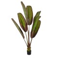 GloboStar® Artificial Garden BLOODY BANANA TREE 20118 Τεχνητό Διακοσμητικό Φυτό Αιματόφυλλη Μπανανιά - Μπανανόδεντρο Υ190cm GloboStar® Artificial Garden BLOODY BANANA TREE 20118 Τεχνητό Διακοσμητικό Φυτό Αιματόφυλλη Μπανανιά - Μπανανόδεντρο Υ190cm