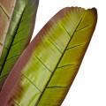 GloboStar® Artificial Garden BLOODY BANANA TREE 20118 Τεχνητό Διακοσμητικό Φυτό Αιματόφυλλη Μπανανιά - Μπανανόδεντρο Υ190cm GloboStar® Artificial Garden BLOODY BANANA TREE 20118 Τεχνητό Διακοσμητικό Φυτό Αιματόφυλλη Μπανανιά - Μπανανόδεντρο Υ190cm