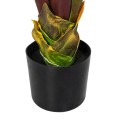 GloboStar® Artificial Garden BLOODY BANANA TREE 20118 Τεχνητό Διακοσμητικό Φυτό Αιματόφυλλη Μπανανιά - Μπανανόδεντρο Υ190cm GloboStar® Artificial Garden BLOODY BANANA TREE 20118 Τεχνητό Διακοσμητικό Φυτό Αιματόφυλλη Μπανανιά - Μπανανόδεντρο Υ190cm