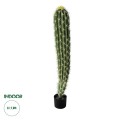 GloboStar® Artificial Garden CEREUS JAMACARU CACTUS 20120 Τεχνητό Διακοσμητικό Φυτό Κάκτος Κηρίος Υ110cm GloboStar® Artificial Garden CEREUS JAMACARU CACTUS 20120 Τεχνητό Διακοσμητικό Φυτό Κάκτος Κηρίος Υ110cm
