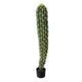 GloboStar® Artificial Garden CEREUS JAMACARU CACTUS 20120 Τεχνητό Διακοσμητικό Φυτό Κάκτος Κηρίος Υ110cm GloboStar® Artificial Garden CEREUS JAMACARU CACTUS 20120 Τεχνητό Διακοσμητικό Φυτό Κάκτος Κηρίος Υ110cm